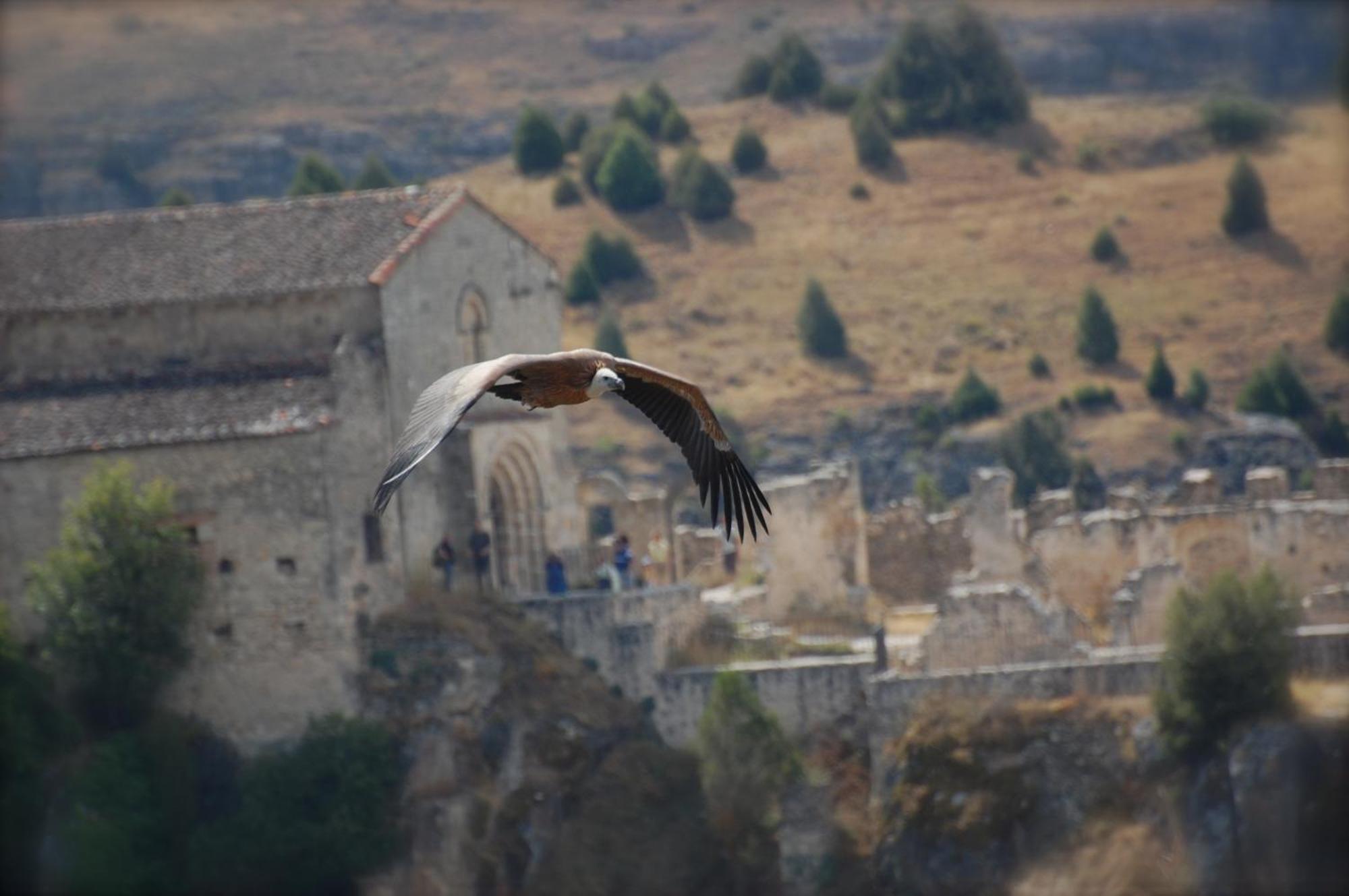Burgomillodo El Rincon De Las Hoces Del Duraton מראה חיצוני תמונה